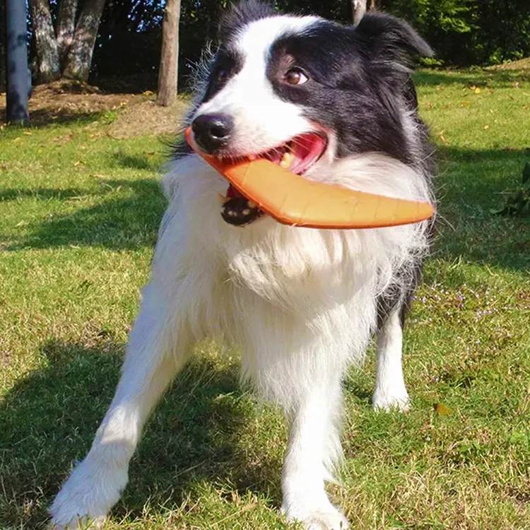 EVA Pet Dart: Практичен водич за избор на безбедна и забавна играчка за кучиња